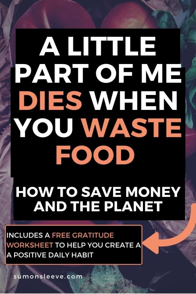 How to reduce food waste, save money and the planet